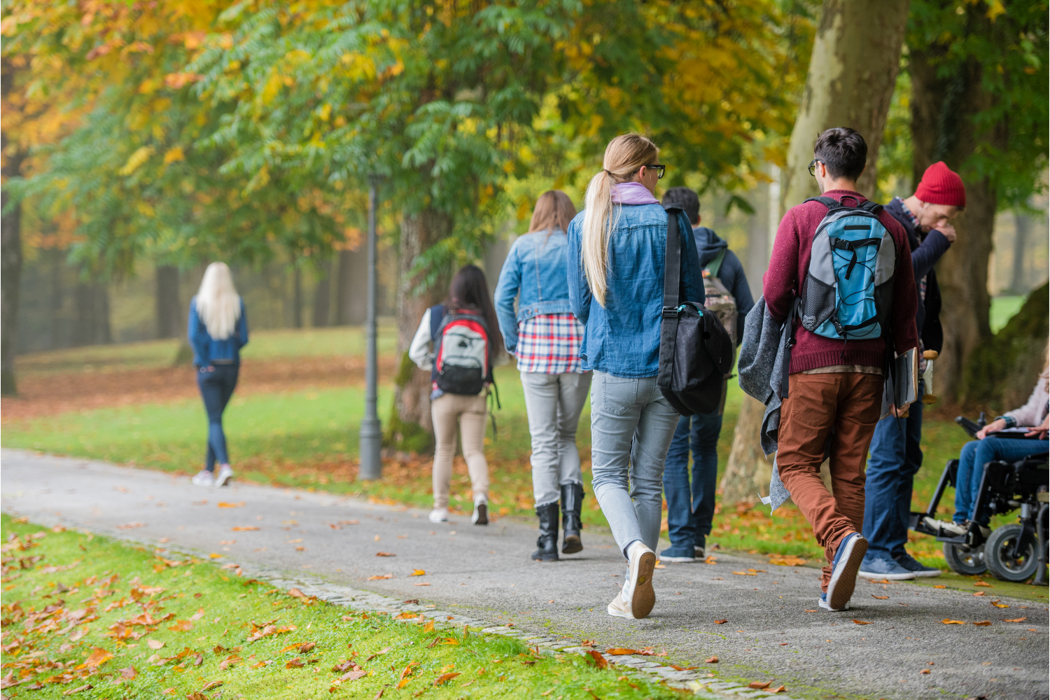 Image of students walking in a park